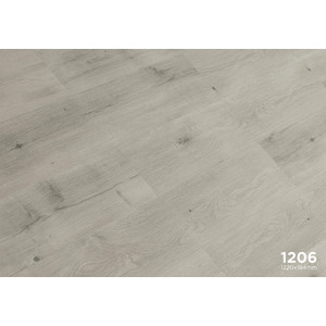 Forest 1206 Фрисби